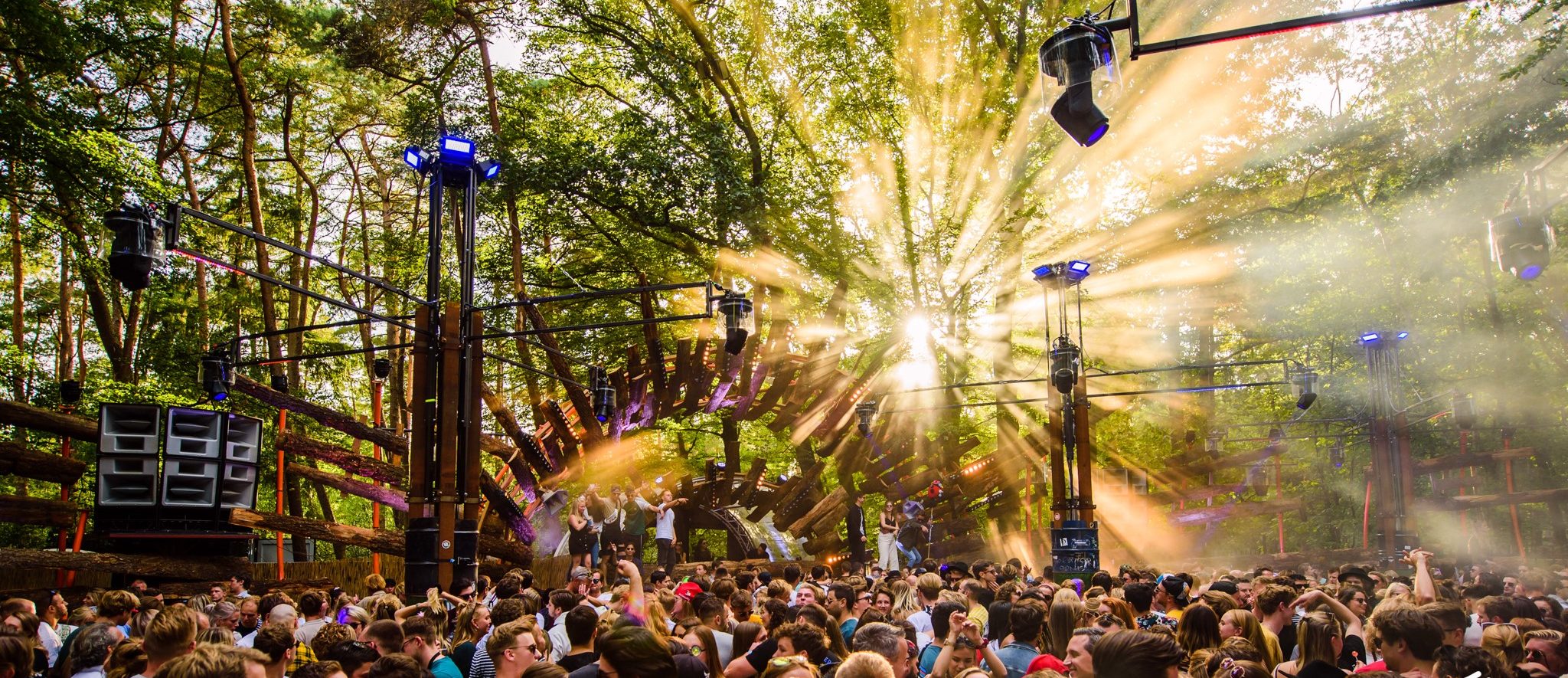 Into the Woods Festival