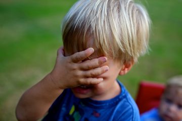 Solstice Festival cancelado