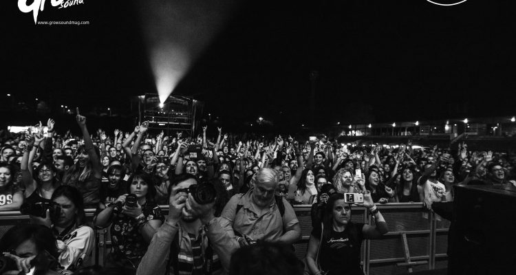 Festival Gigante | SergioErrePhoto