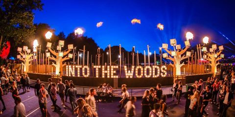 Into the Woods Festival